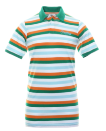 PÁNSKÉ TRIKO - OAKLEY TNP STRIPED POLO SS TEE STRIPE GREEN - 434447-96G-S